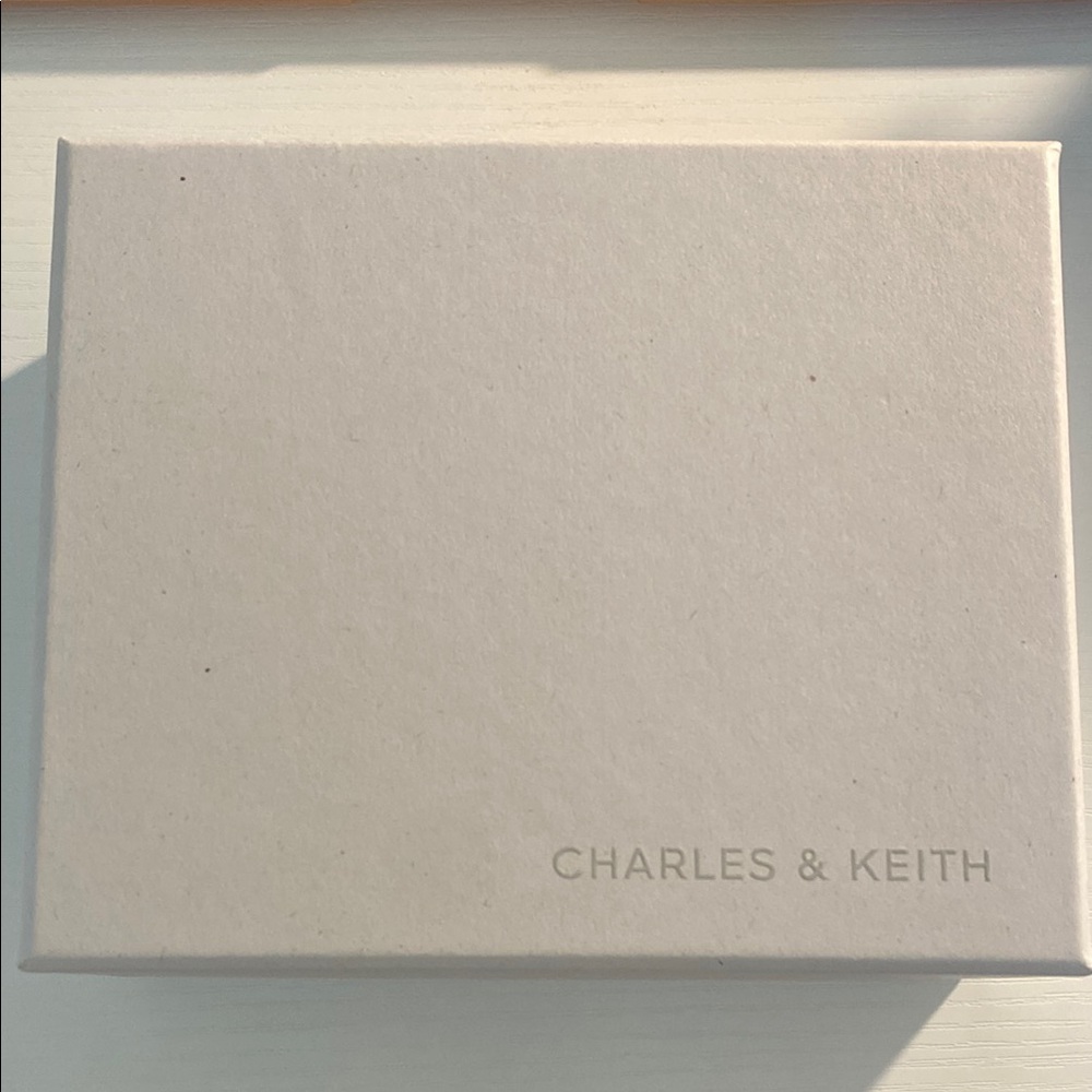 Charles & Keith 4x5x1.5” Small Box with foldable dust bag Grey